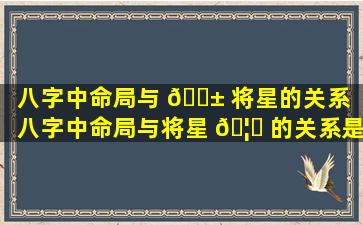 八字中命局与 🐱 将星的关系「八字中命局与将星 🦟 的关系是什么」